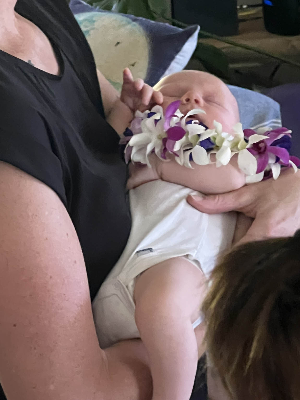Hawaii Circumcision Mohel | Rabbi Moshe Trager, Mohel